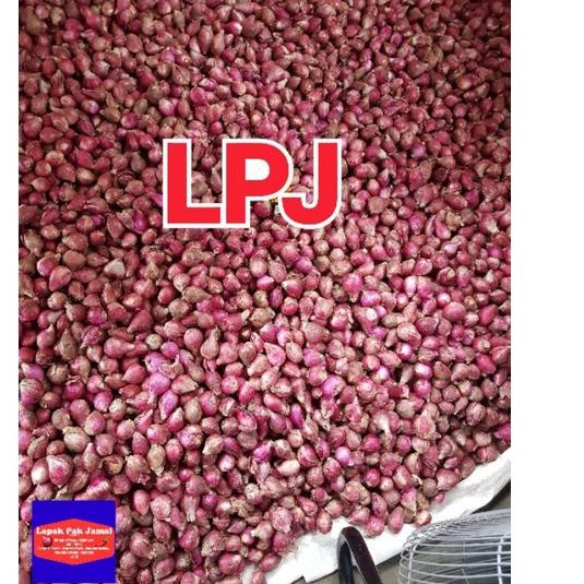 

【NEW】 Bawang MERAH SUPER - 1 Kg - LPJ terbaik