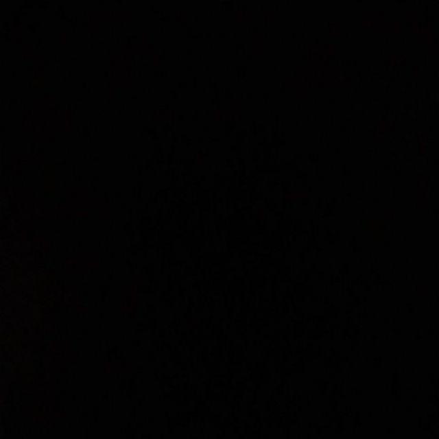 Sprei Motif Lovely Whale