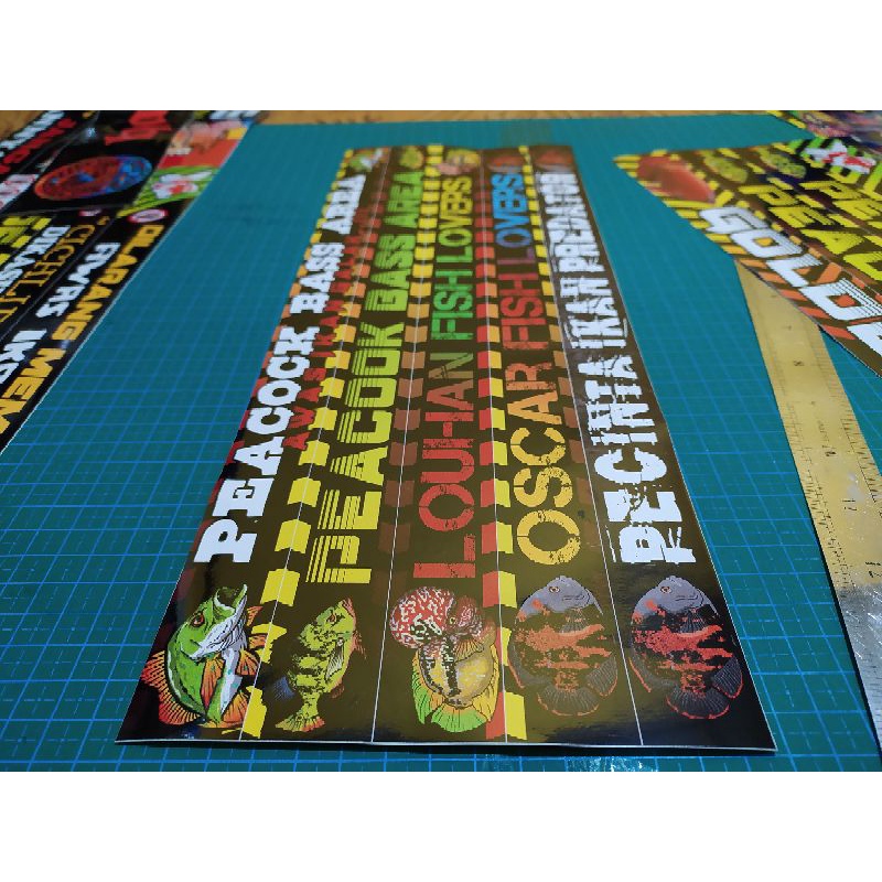 Stiker hiasan aquarium peacok bass pbass area predator fish louhan lovers oscar pecinta ikan predator awas ikan galak premium quality