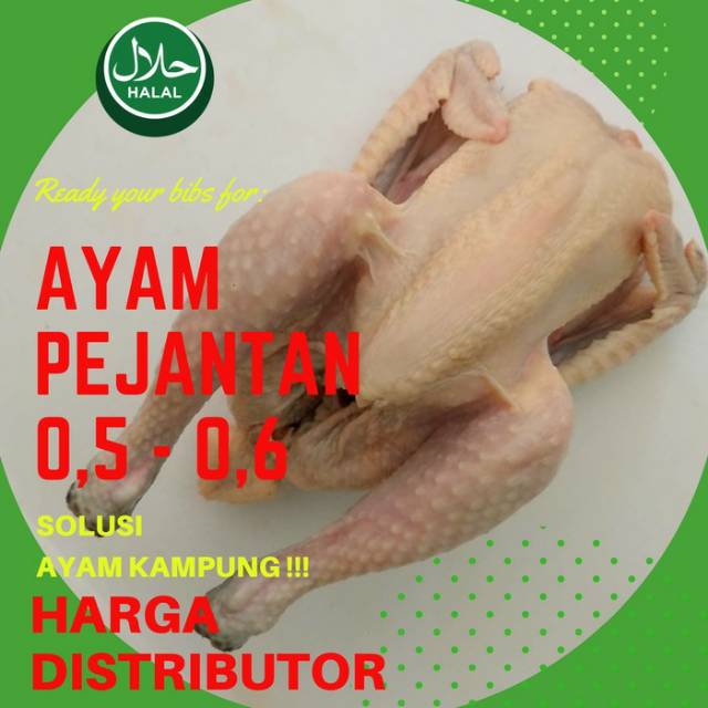 

Ayam Pejantan Fresh 500 - 600 Gram