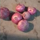 Bawang Merah Besar India Fresh 1Kg