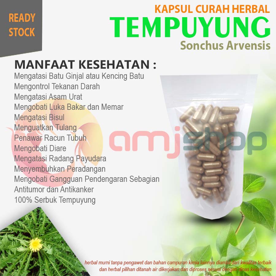 

Kapsul curah herbal tempuyung kapsul herbal batu kemih ginjal radang