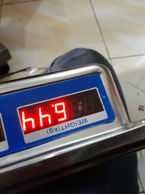 Timbangan Barang / Timbangan Digital / Timbangan Digital Panda 100 Kg