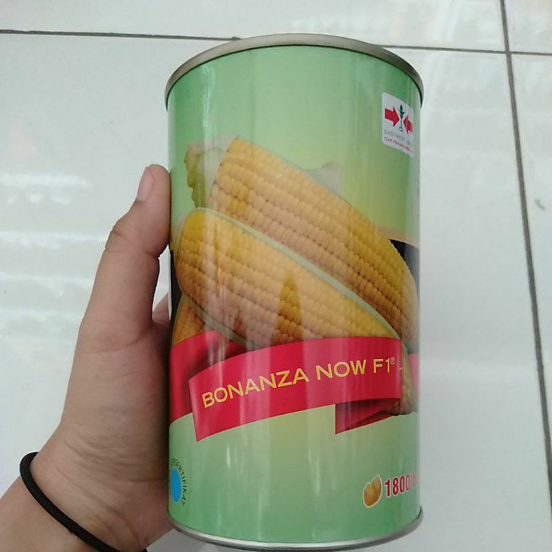 Benih Jagung Manis Bonanza Now F1 Kaleng isi 1800 btr Panah Merah