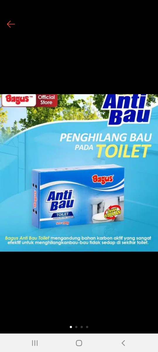 Bagus Anti Bau Toilet 100 Gr