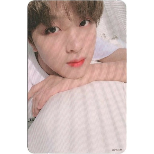 ‼️WTB‼️PC HAECHAN REGULATE ( BOBOAN )
