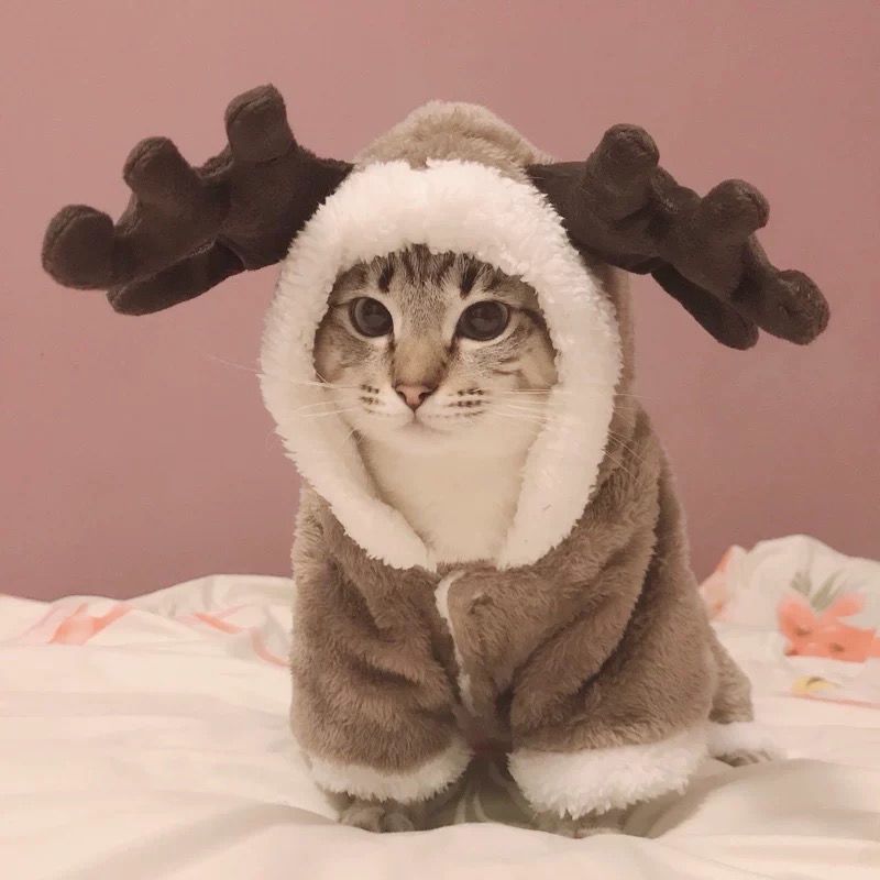 ★〓YUFeiPet〓★ Christmas Halloween Pet Costumes Cats and Dogs Fall/Winter Coat Warm Elk Transformation Costumes