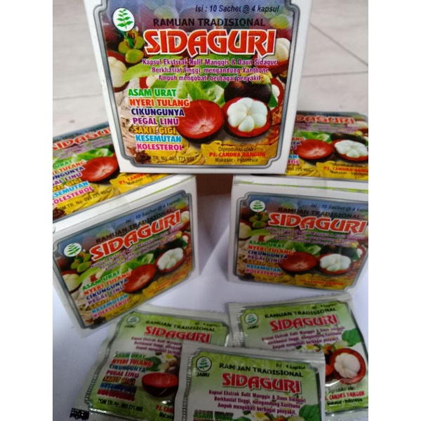 SIDAGURI KAPSUL ORIGINAL