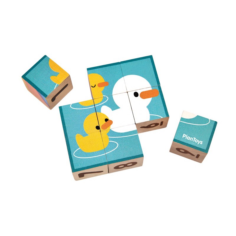 PlanToys Puzzle Cubes