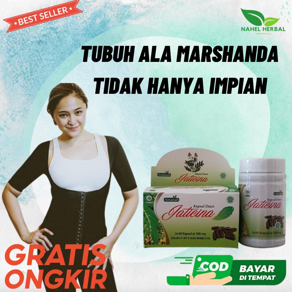 Daun Jati Cina Kapsul Rahasia Tubuh Langsing Ala Marshanda Terbukti - Obat Mengecilkan Perut Buncit 