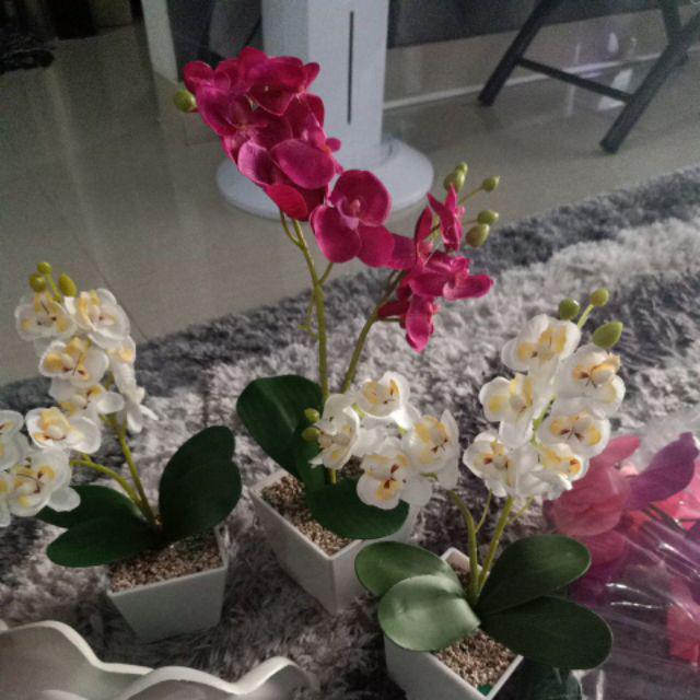 Set Bunga Plastik Anggrek1 Warna Warni Dengan Pot Melamin Putih Hexagonal Besar