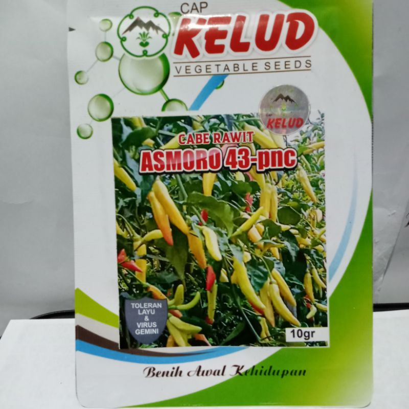 Benih cabe rawit Asmoro F-1