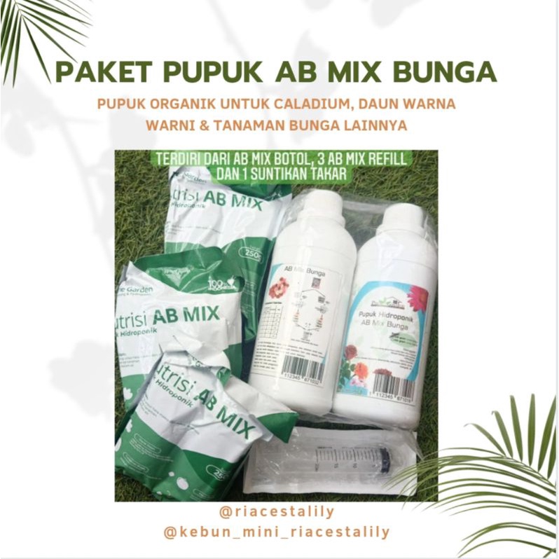 Jual Paket Pupuk Ab Mix Bunga Pupuk Organik Caladium Shopee Indonesia