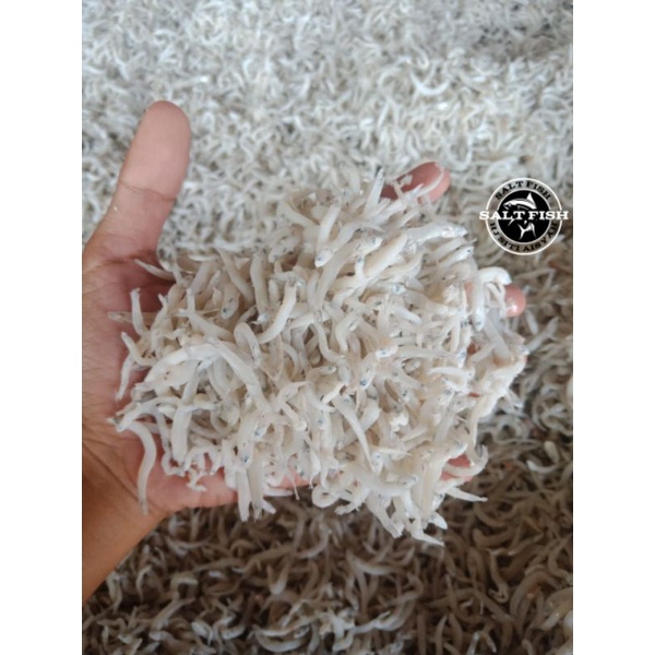 

TERI touge Medan ; 500 gram best seller