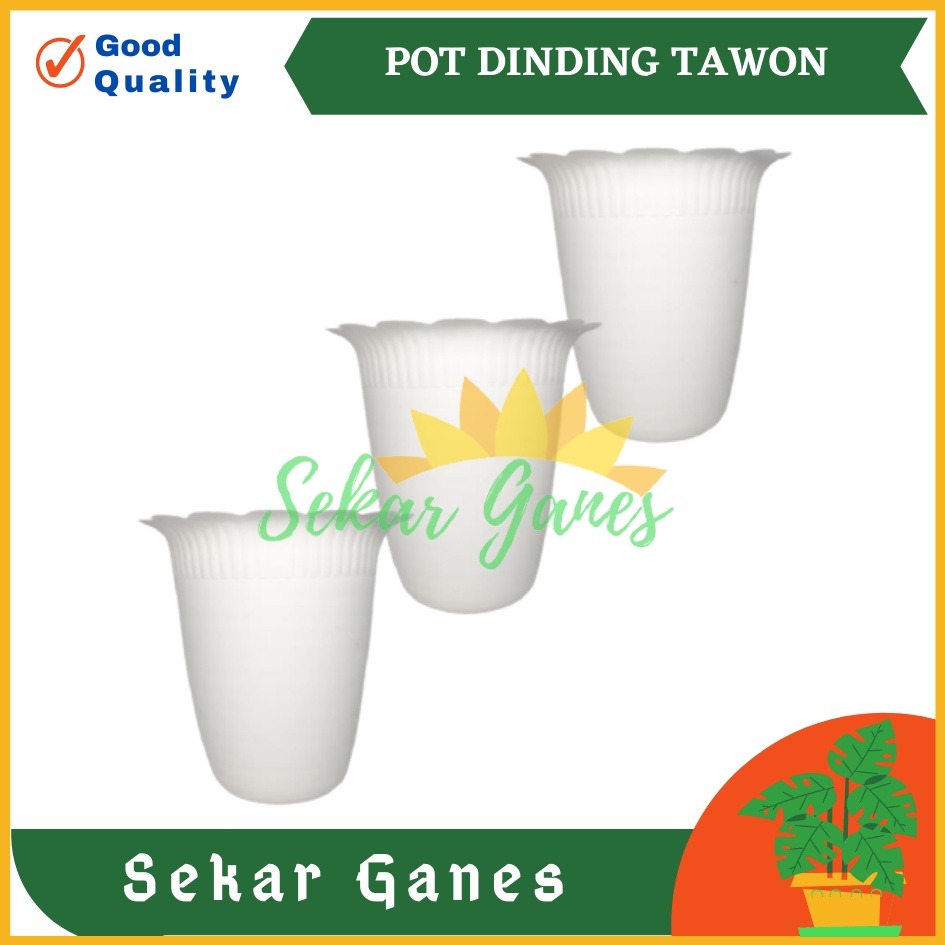 POT DINDING PUTIH 15 CM NEW TAWON DINDING TEMPEL 15Cm POT BUNGA PUTIH | OMBAK  Dinding Kerang MURAH