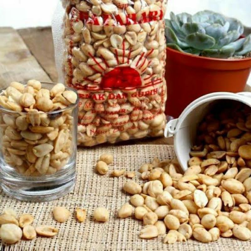 

Kacang Matahari