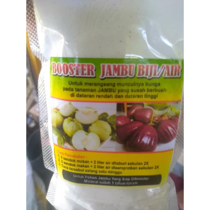 Booster jambu air dan jambu biji perangsang untuk berbuah