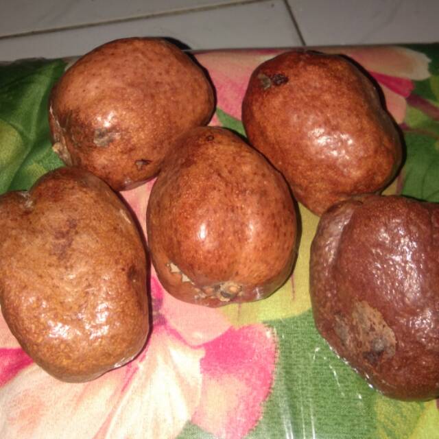 

BUAH DZURIAT MESIR UKURAN SEDANG HARGA ECER PER BIJI