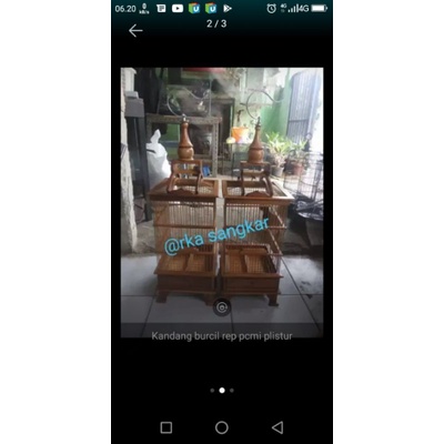 sangkar pleci pcmi (pernis)