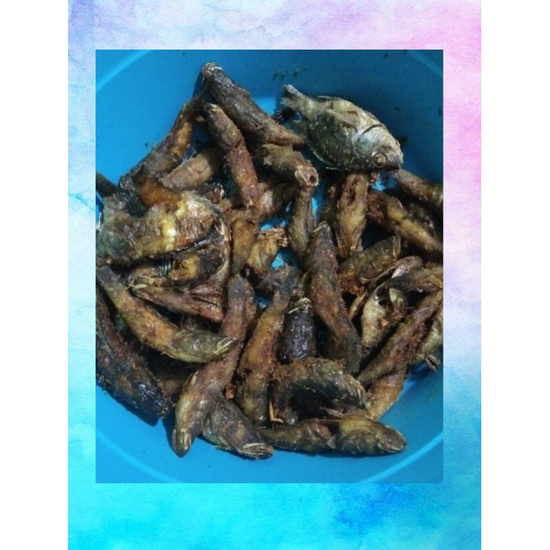 

IKAN kali gabus/B E T U T U goreng