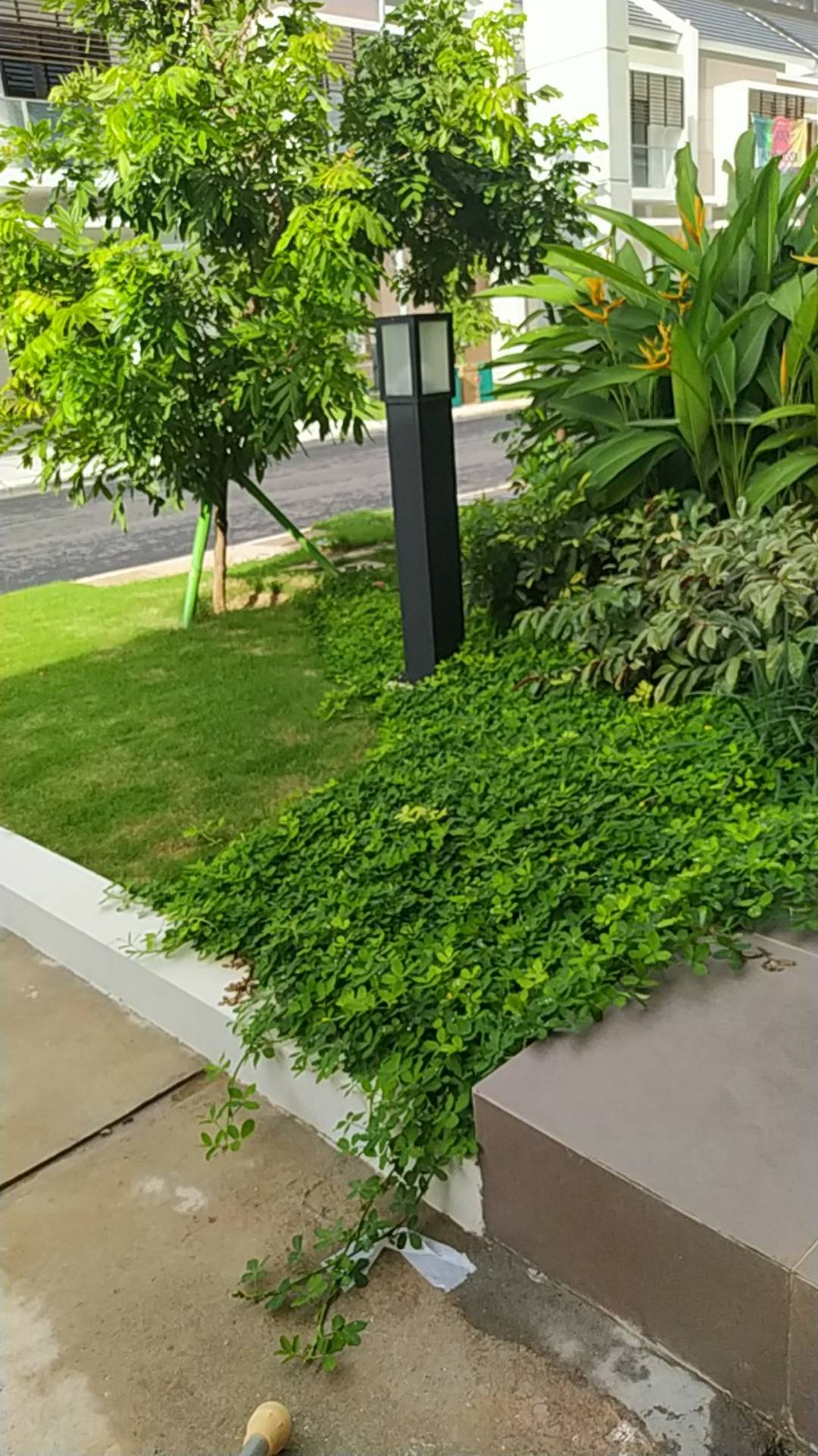 Mulia Signature Subway Keramik Dinding 7.5 X 15 Bevel