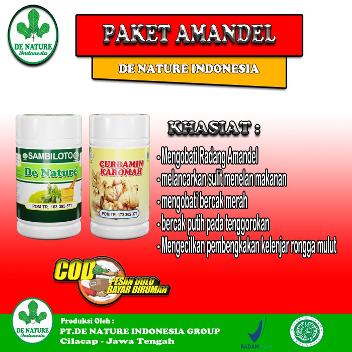 Obat Herbal Khusus Amandel Akut & Kronis Radang Tenggorokan Paling Ampuh