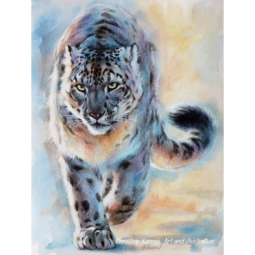 Strathmore - Colored Pencil Sketch Pad  400 series