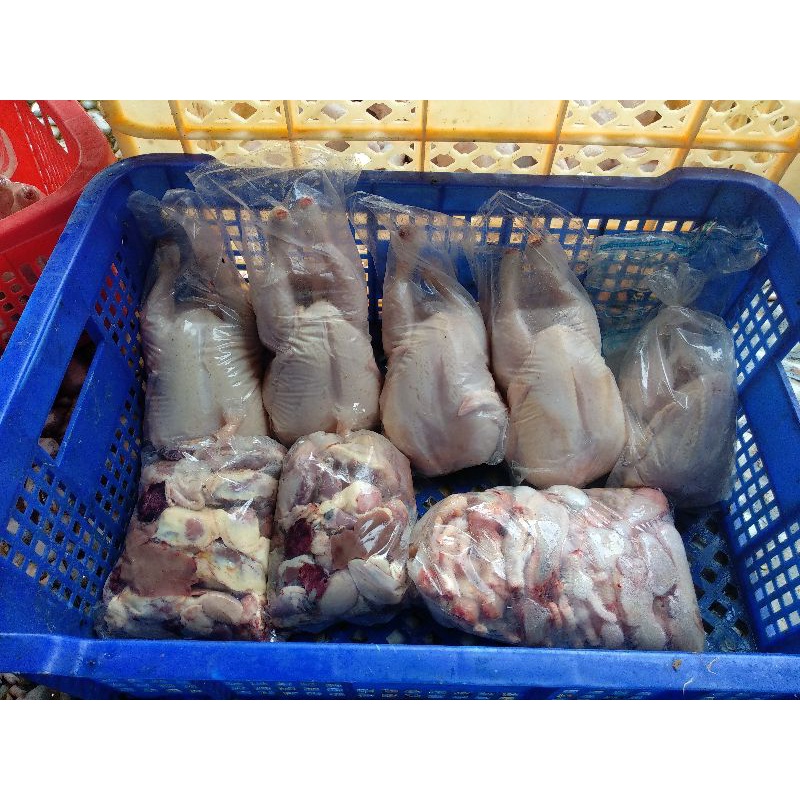 ayam broiler 0,7 Kg . 0,8 Kg.  0,9 Kg. 1Kg menu pecel lele  berikut isi Ati Ampela ayam utuh / ayam potong  /  ayam segar / ayam pecel lele / ayam bakar / ayam geprek / ayam fresh / ayam murah.-2