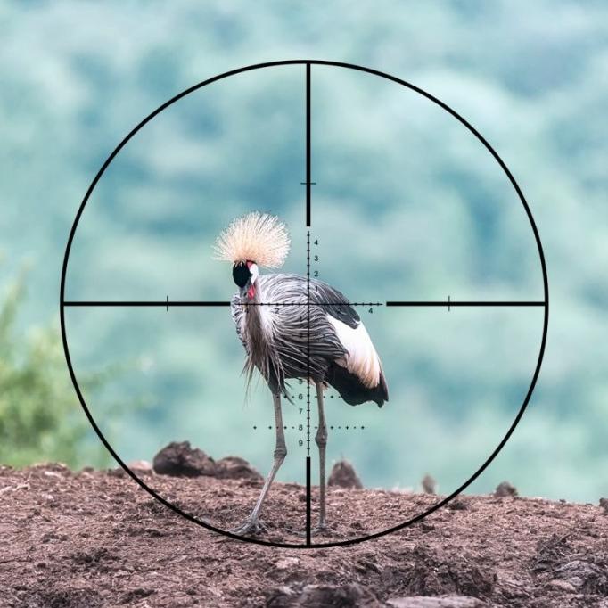 Teleskop T Eagle Mr 6-24X50 Ffp