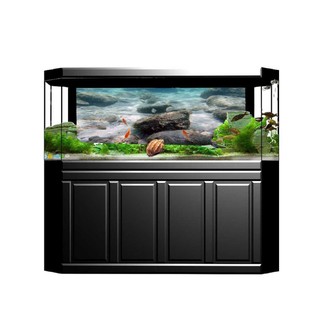 Unduh 8800 Koleksi Background Aquarium Gambar Batu HD Terbaru