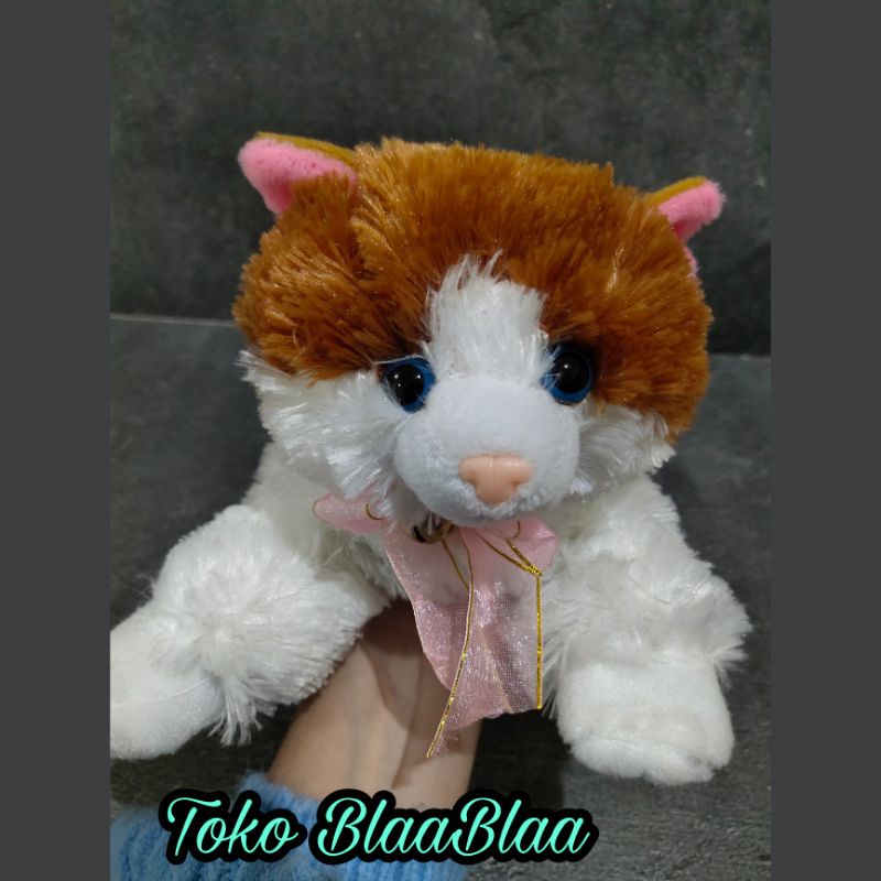 Mainan Anak Boneka Kucing Lucu Boneka Hewan