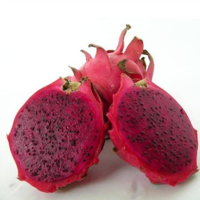

Buah Naga Super