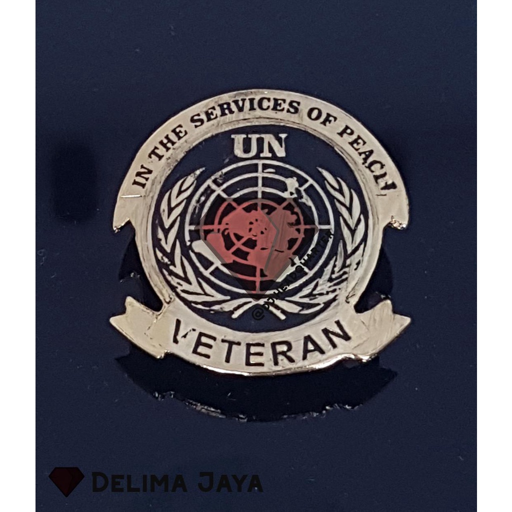 Brevet / Wing PDH Veteran UN