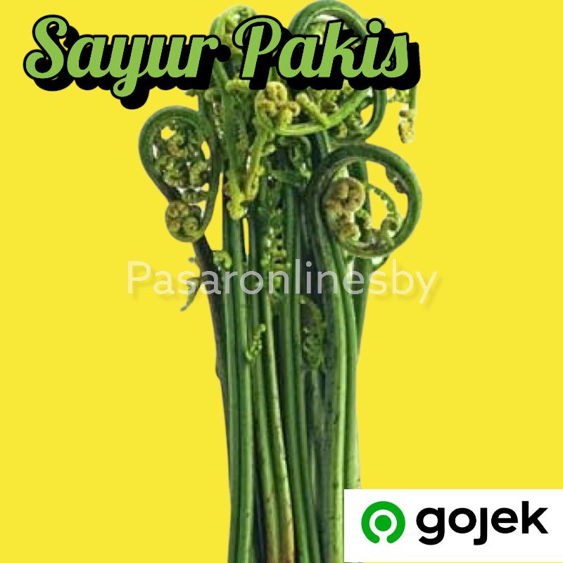 

PASAR GUBENG - Sayur Pakis Per 3ikat