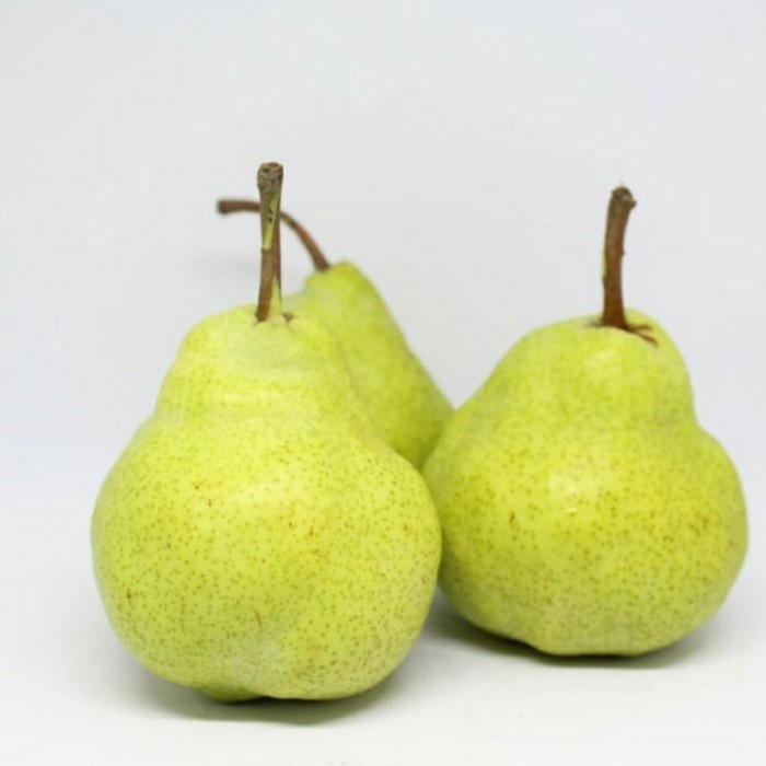 

PEAR PACKHAM IMPORT