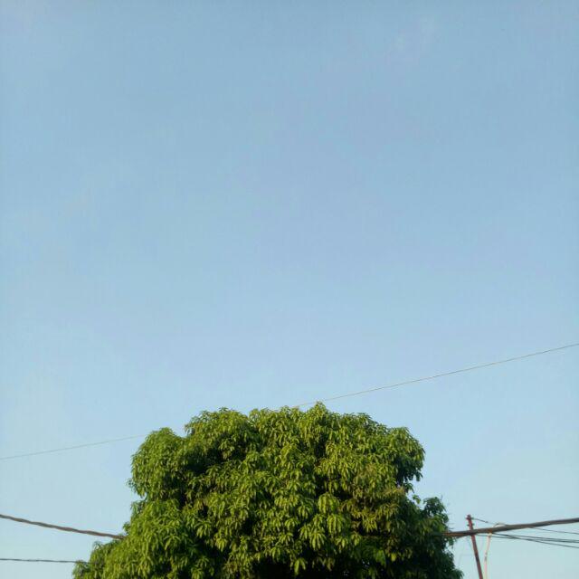 Maura Couple - Sania Ruffle Batik Couple Ori  Ndoro Jowi Dnt Garasi Termurah  Shopee - Couple Reno