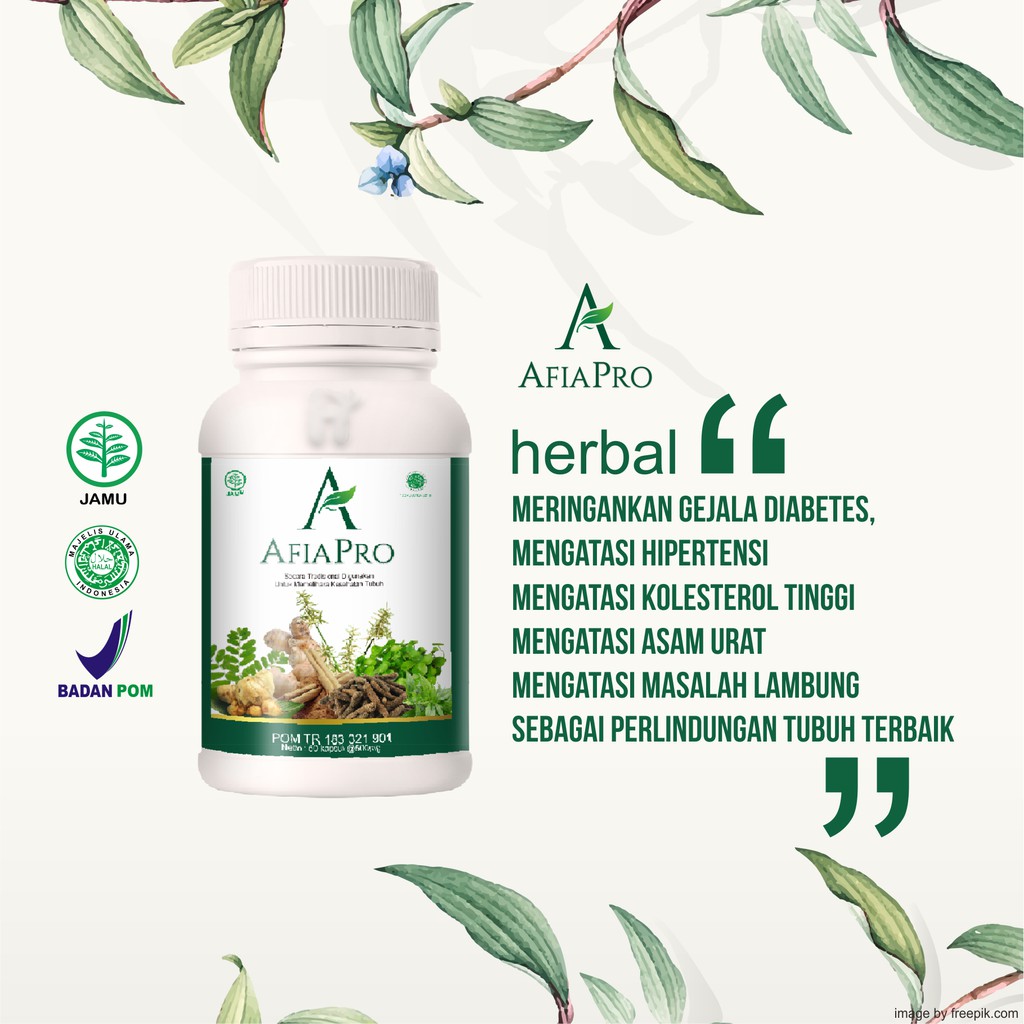 Afiapro Obat Herbal Diabetes Kolesterol Darah Tinggi Asam Urat Shopee Indonesia