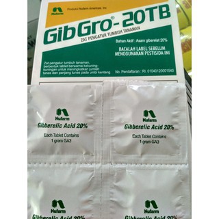GIBGRO 20TB / GIBGRO 20 TB TABLET / PIL ZAT PENGATUR TUMBUH TANAMAN PER 1 PIL