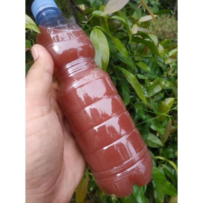 

psb 600mili. pupuk tanaman, pupuk organik