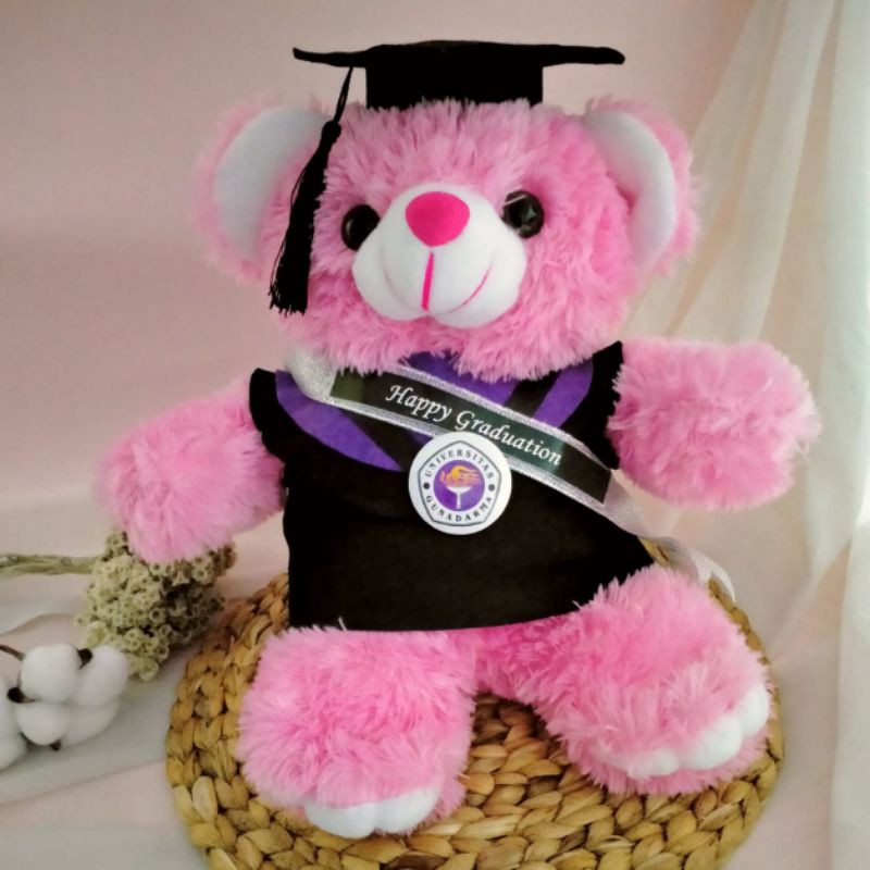 BONEKA WISUDA TEDDY BEAR 30CM + SELEMPANG