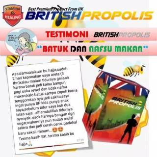 Promil Untuk British Propolis