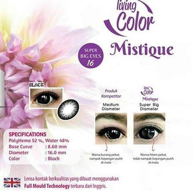 SOFLEN MISTIQUE BLACK & GREY 16MM / SOFLEN MISTIQUE LIVING COLOR SUPER BIG EYES