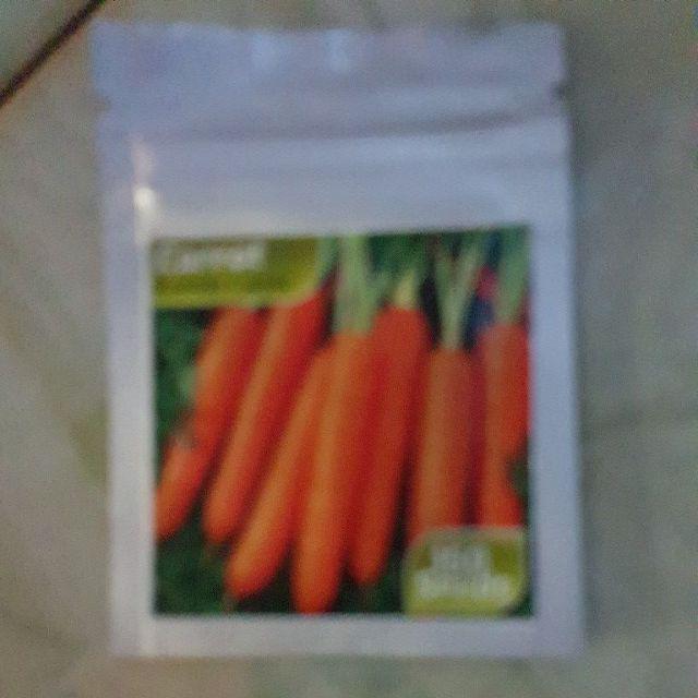 Isi 150 Benih Biji Sayur Wortel - Carrot Import