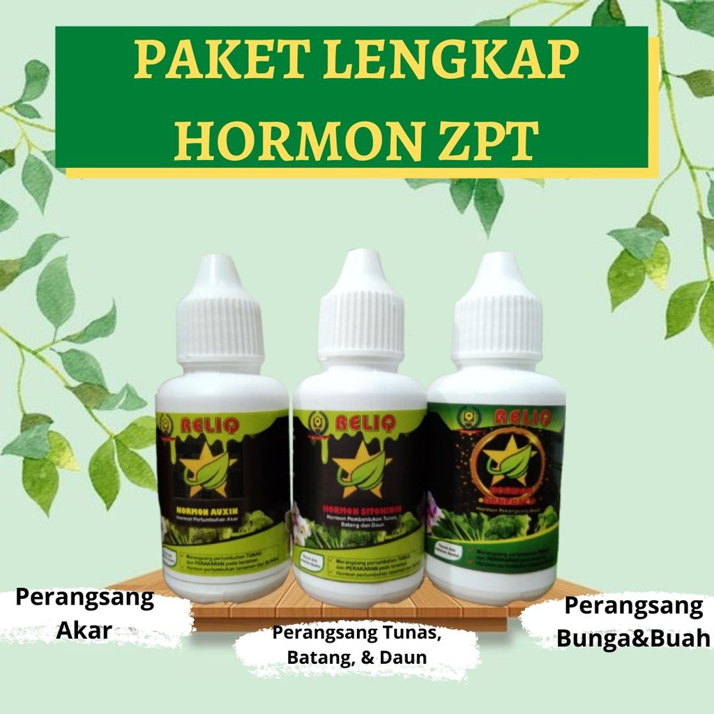 Paket Lengkap Hormon Tanaman Lengkap, Paket Hormon Varigata Auksin Sitokinin Giberlin Giberelin
