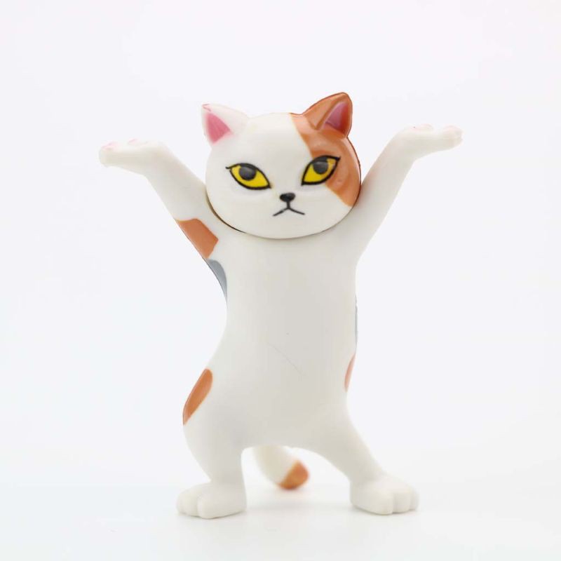 Mary 5pcs Carrying Coffin Cat Action Figures Interesting Cat Dolls Creative Ornaments