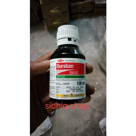 dursban 100 ml