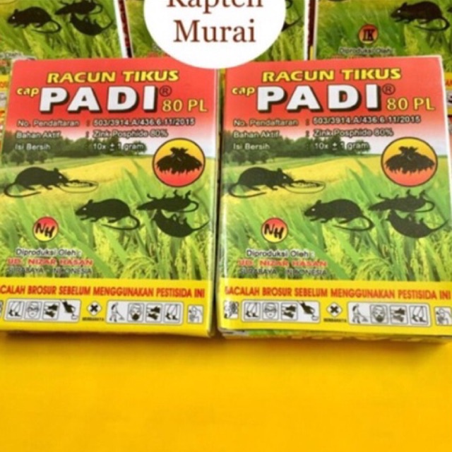 Racun tikus Ampuh mati di  tempat