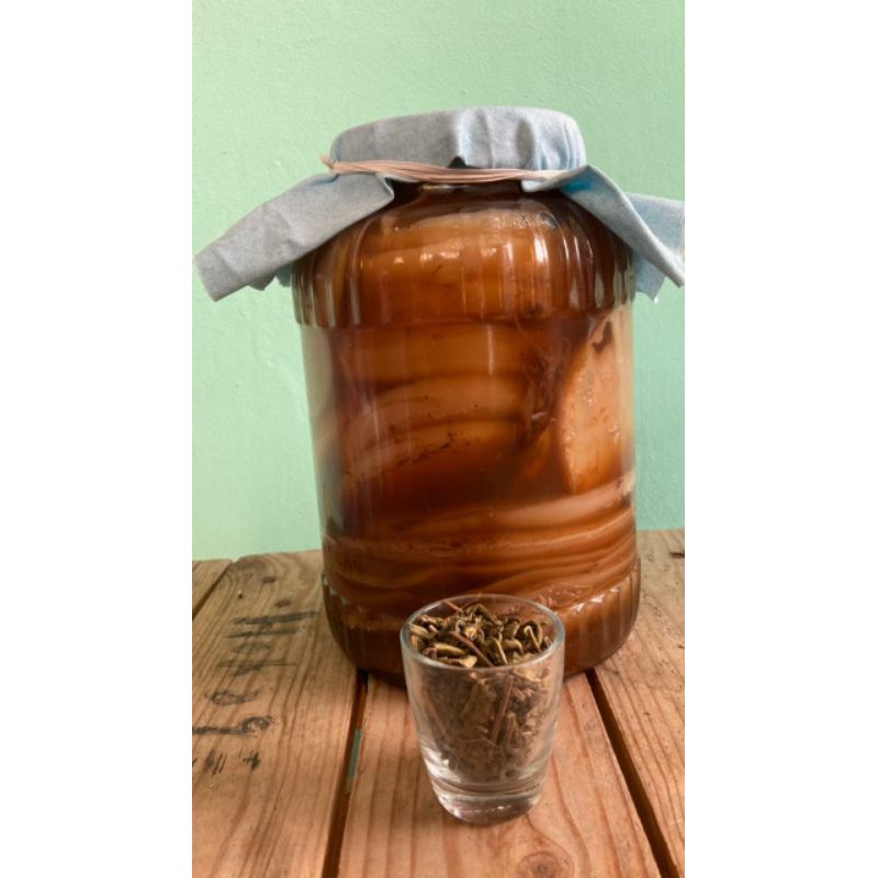 

Teh Hitam Atau Teh Hijau Untuk Membuat Kombucha