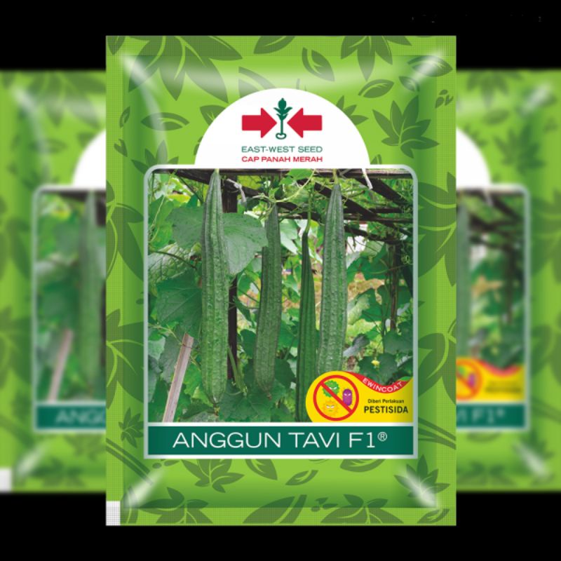 BENIH OYONG ANGGUN TAVI PANAH MERAH