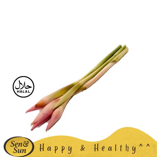 

Sen&Sun Batang Kecombrang 250 gr